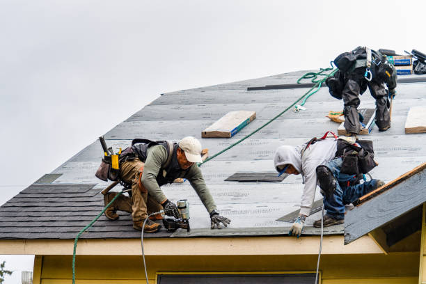 Professional Flat Roof Repair technician working in Ridgewood, IL