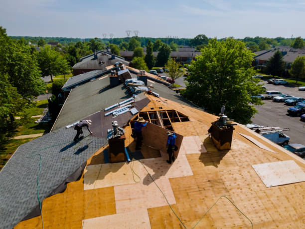 24/7 Emergency Flat Roof Repair experts in Ridgewood, IL